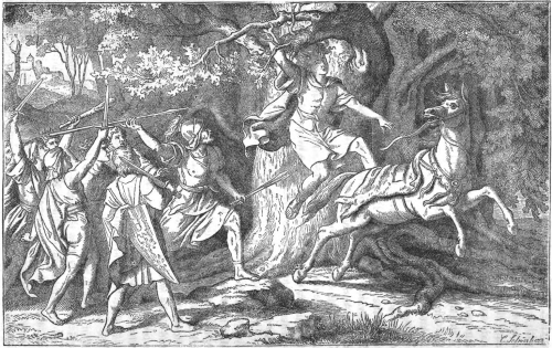 Death on a Tree – Absalom as Jesus-Type